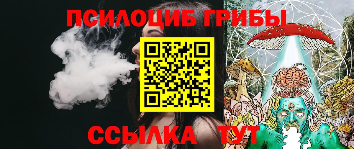 Галлюциногенные грибы Psilocybe Нягань